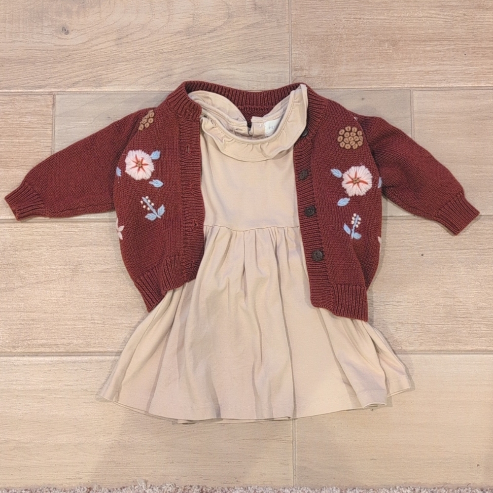 Petite Moss dress + knit sweater